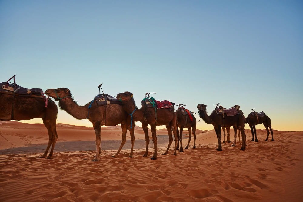 Rajasthan