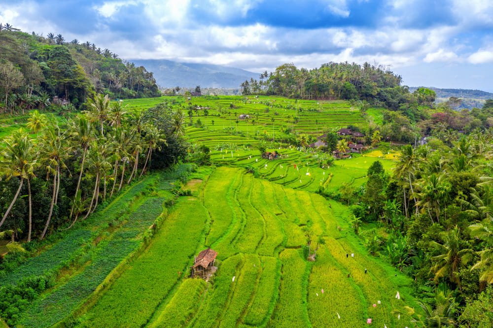Bali