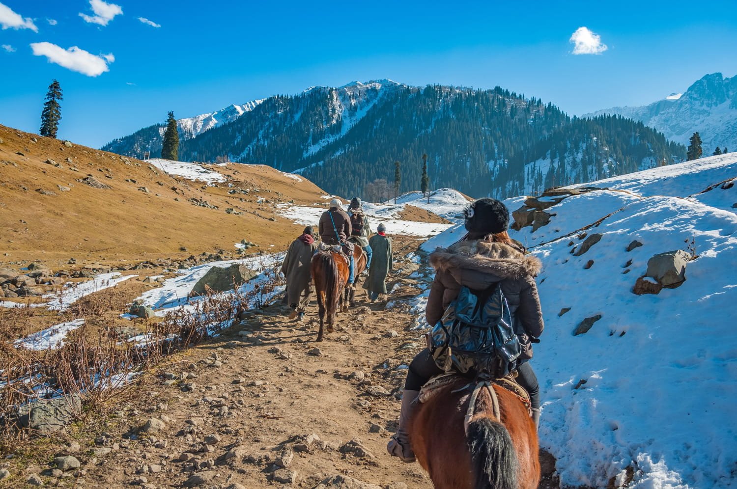 Kashmir